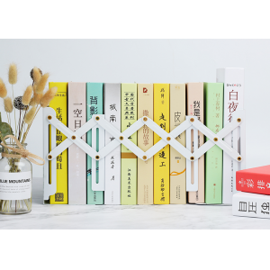 可伸缩书立铁架